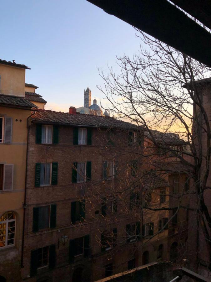 Teresa 91, Appartamento Incantevole Vista Duomo Siena Exterior photo